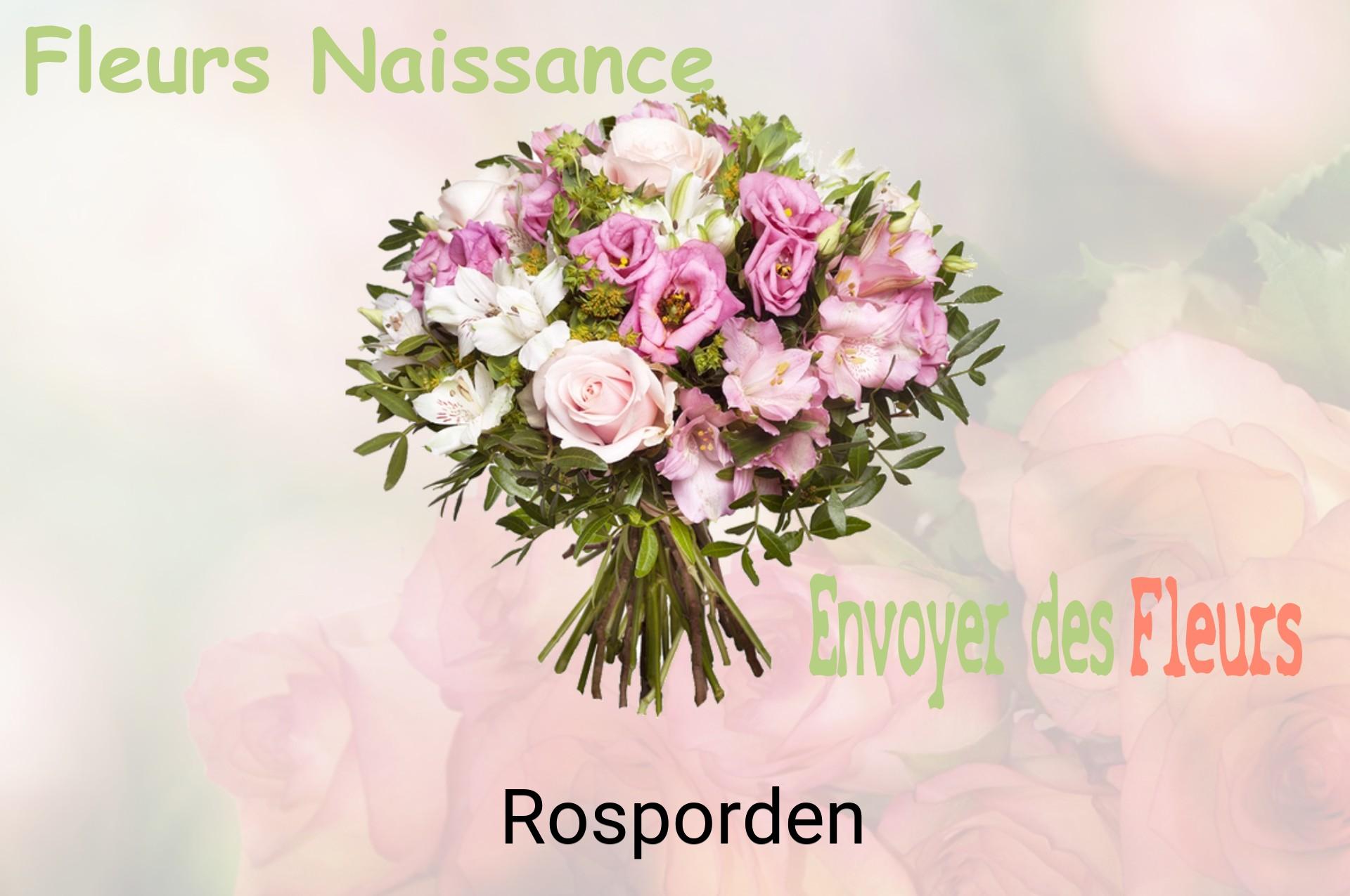 Bouquet de fleurs de naissance livré à Rosporden
